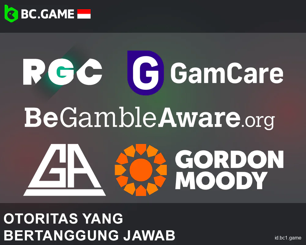 Organisasi untuk para penjudi BC.Game Indonesia